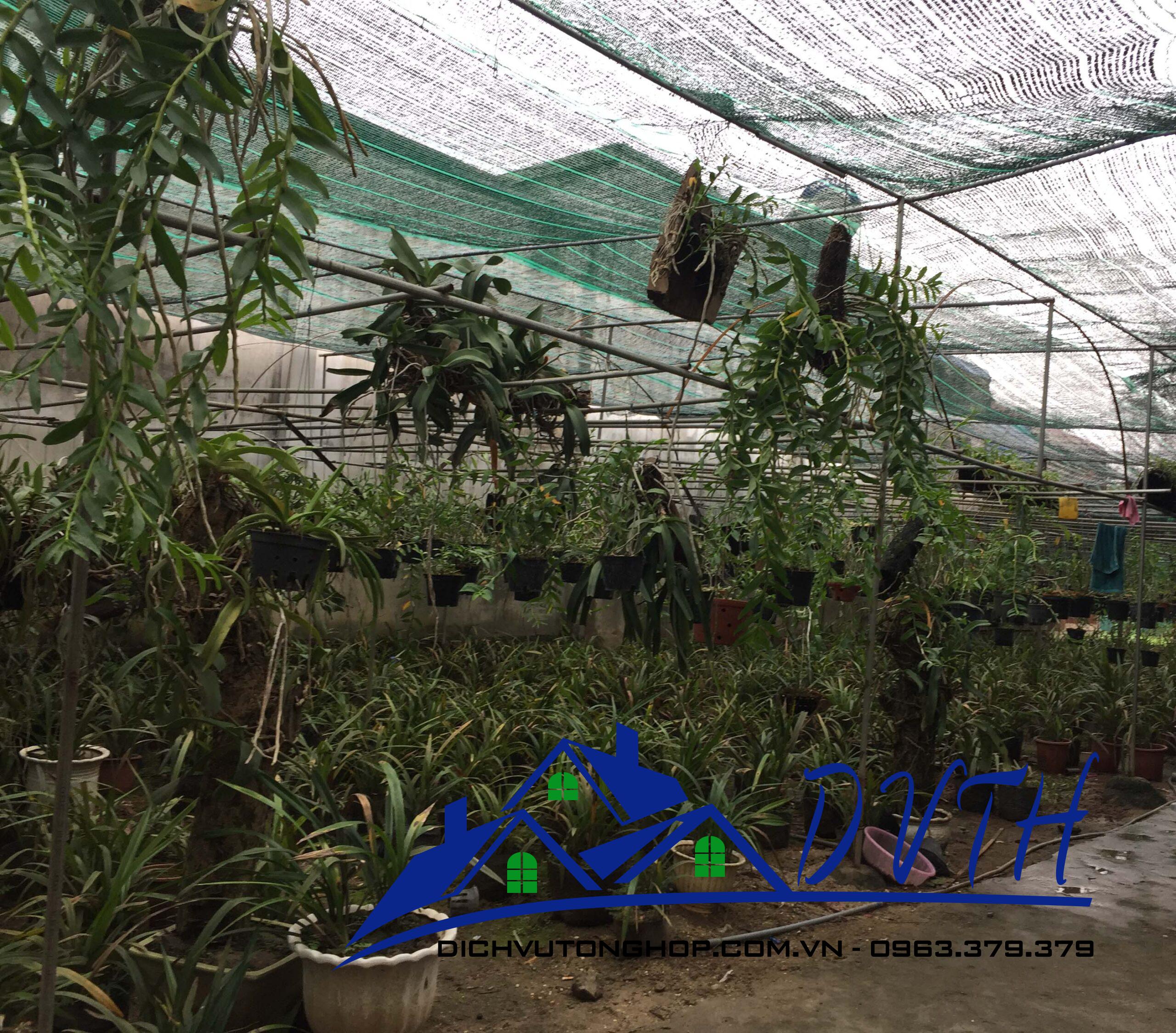 Giá bán lưới tại Đăk Lăk